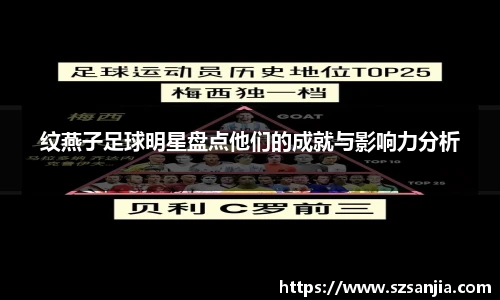 纹燕子足球明星盘点他们的成就与影响力分析